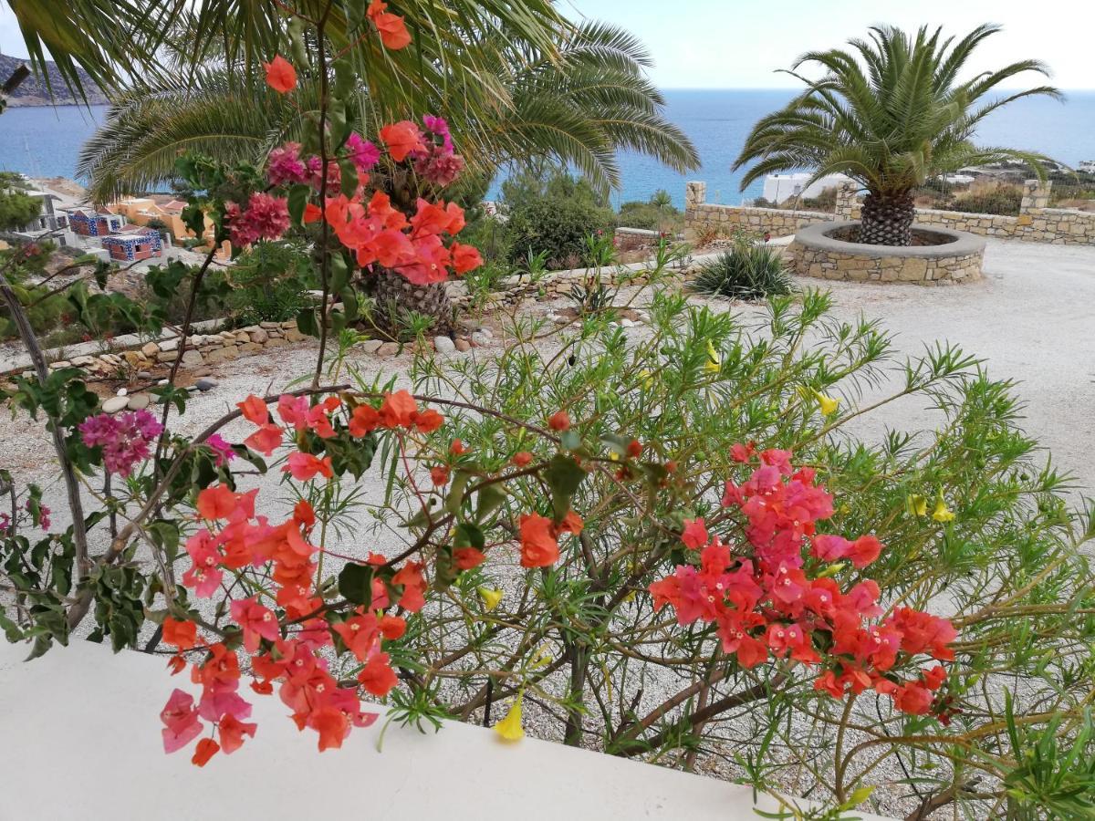 Tranquil Villa With Sea View In Ammopi Karpathos 아무피 외부 사진