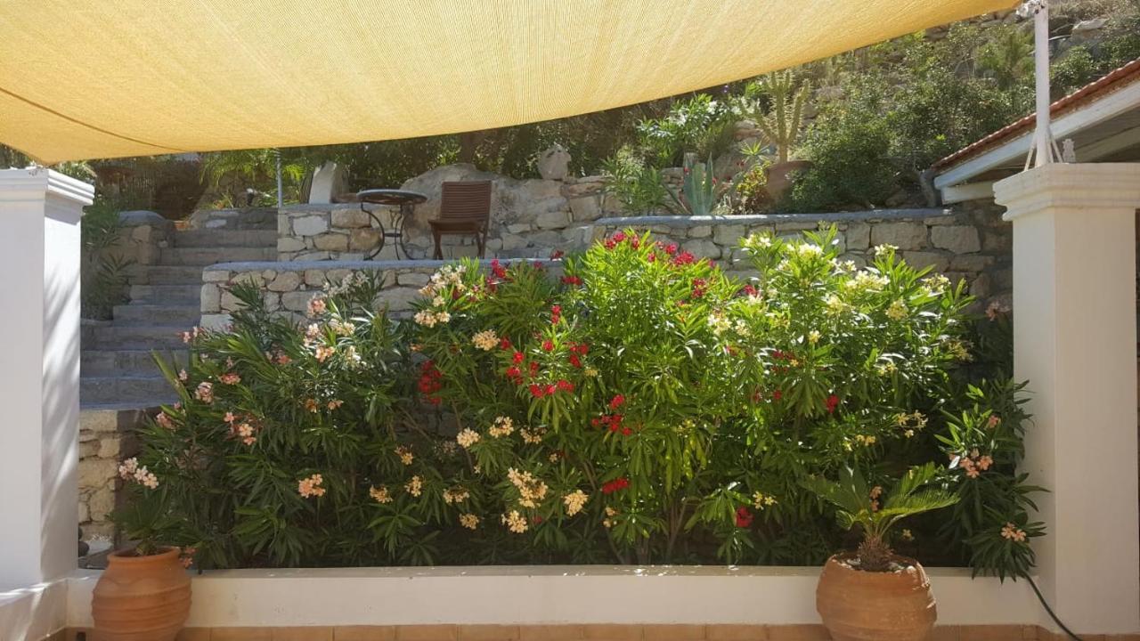 Tranquil Villa With Sea View In Ammopi Karpathos 아무피 외부 사진