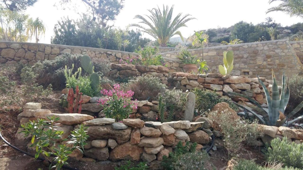 Tranquil Villa With Sea View In Ammopi Karpathos 아무피 외부 사진